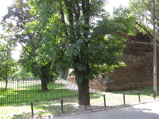 ../Images/IMG_0904.jpg