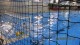 Thumbs/tn_IMG_0023.jpg