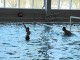 Thumbs/tn_IMG_5129.jpg