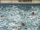 Thumbs/tn_IMG_5492.jpg