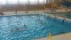 Thumbs/tn_IMG_5496t.jpg